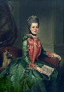 Johann Georg Ziesenis Portrait of Princess Frederika Sophia Wilhelmina oil painting on canvas